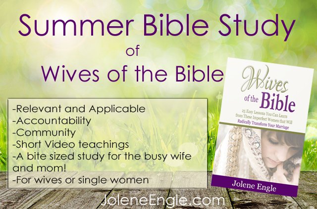 Summer Bible Study of Wifes of the Bible - Relevant and Applicable, Accountability, Community, Short Video teachings, A bite sized study for the busy wife and mom!, For wives of single women
